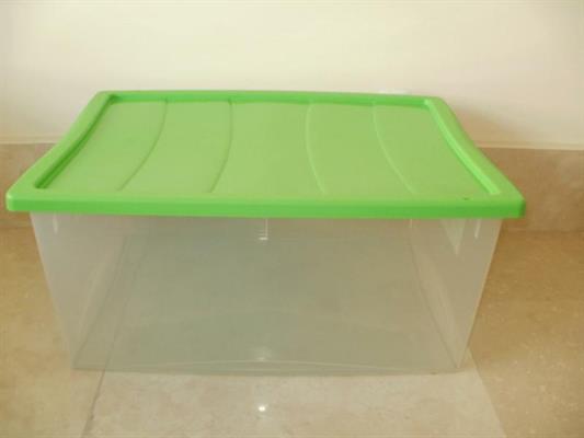 SPRING BOX BF01131(L)55X39H25 TRE