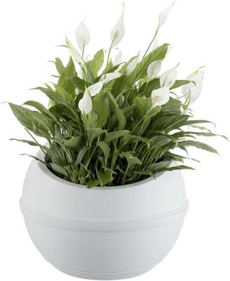 VASO SFERA GHIACCIO 30531 BAMA