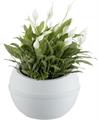 VASO SFERA GHIACCIO 30531 BAMA
