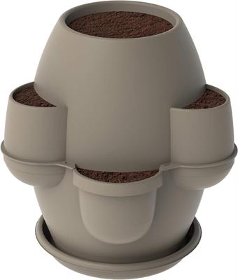 FIORIERA OASI CAPPUCCINO 31002 BAMA