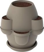 FIORIERA OASI CAPPUCCINO 31002 BAMA
