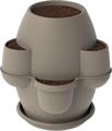 FIORIERA OASI CAPPUCCINO 31002 BAMA