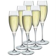 S/6/CAL PROSECCO 15CL FLUTTINO ROCCO